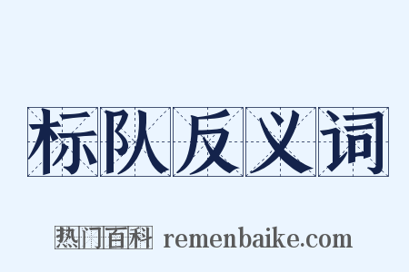 标队反义词是什么意思的图片